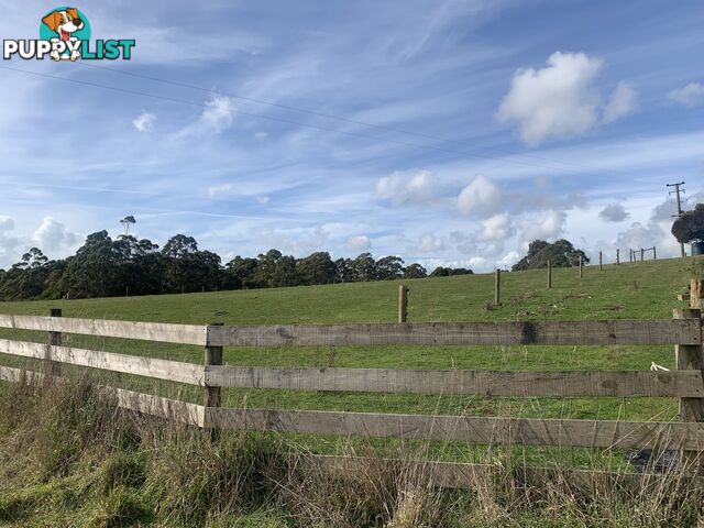 0 Studderds Road MOORLEAH TAS 7325