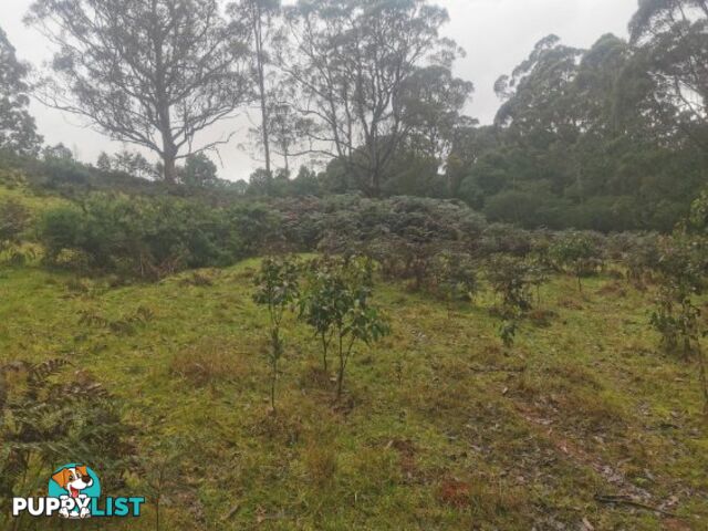 0 Studderds Road MOORLEAH TAS 7325