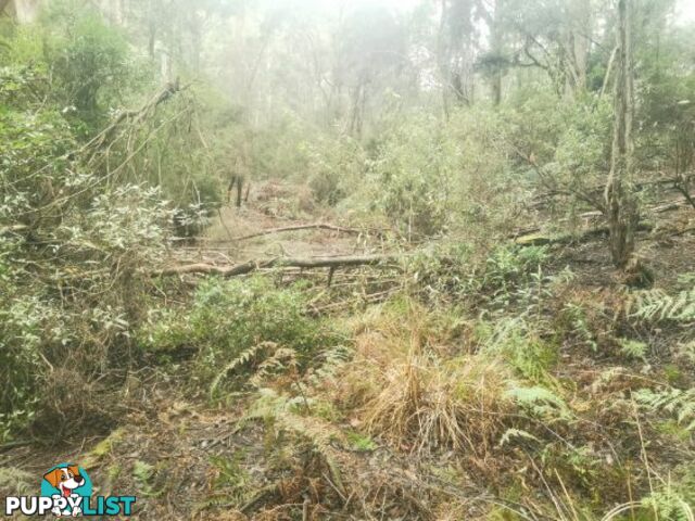 0 Studderds Road MOORLEAH TAS 7325