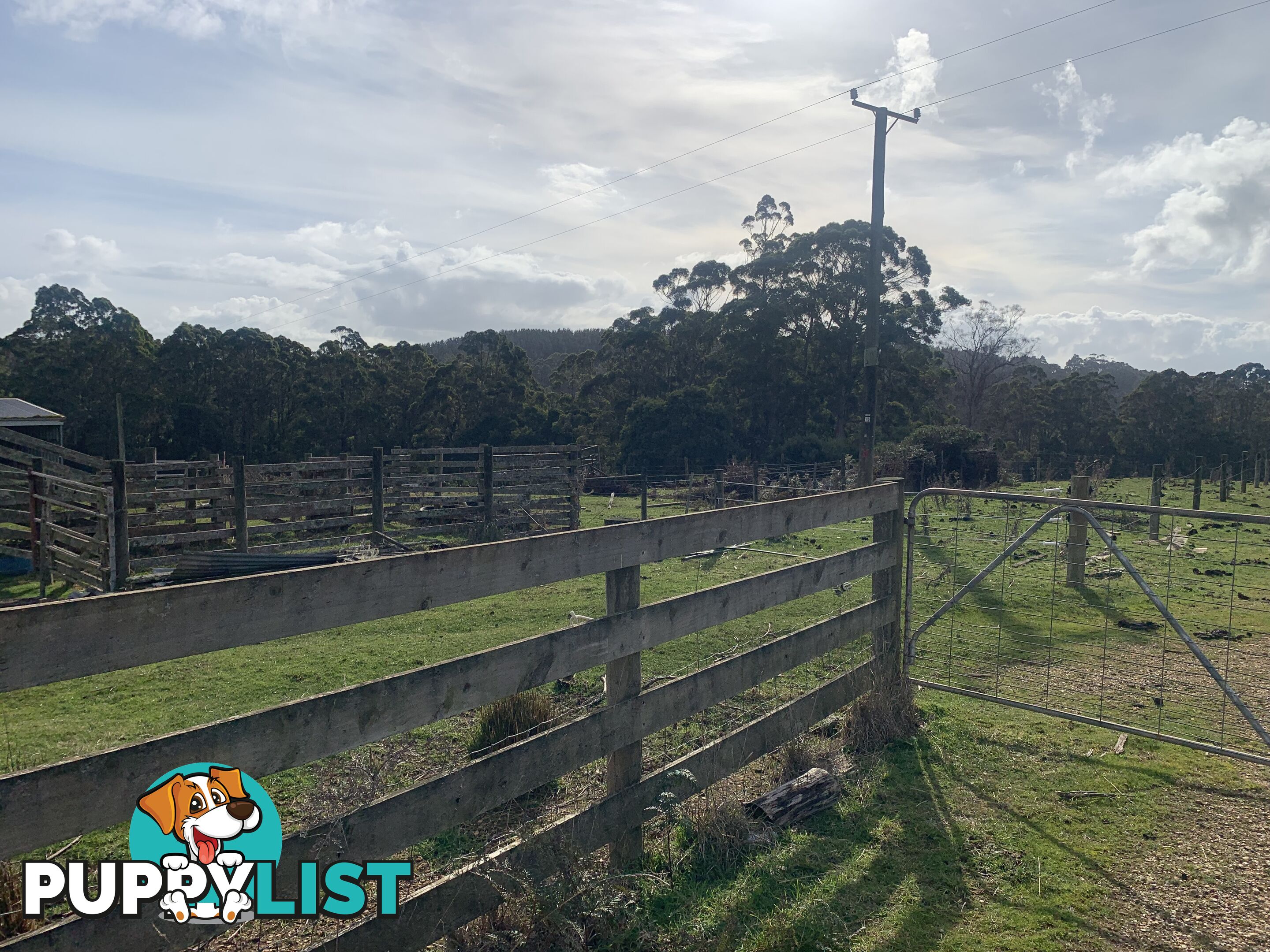 0 Studderds Road MOORLEAH TAS 7325