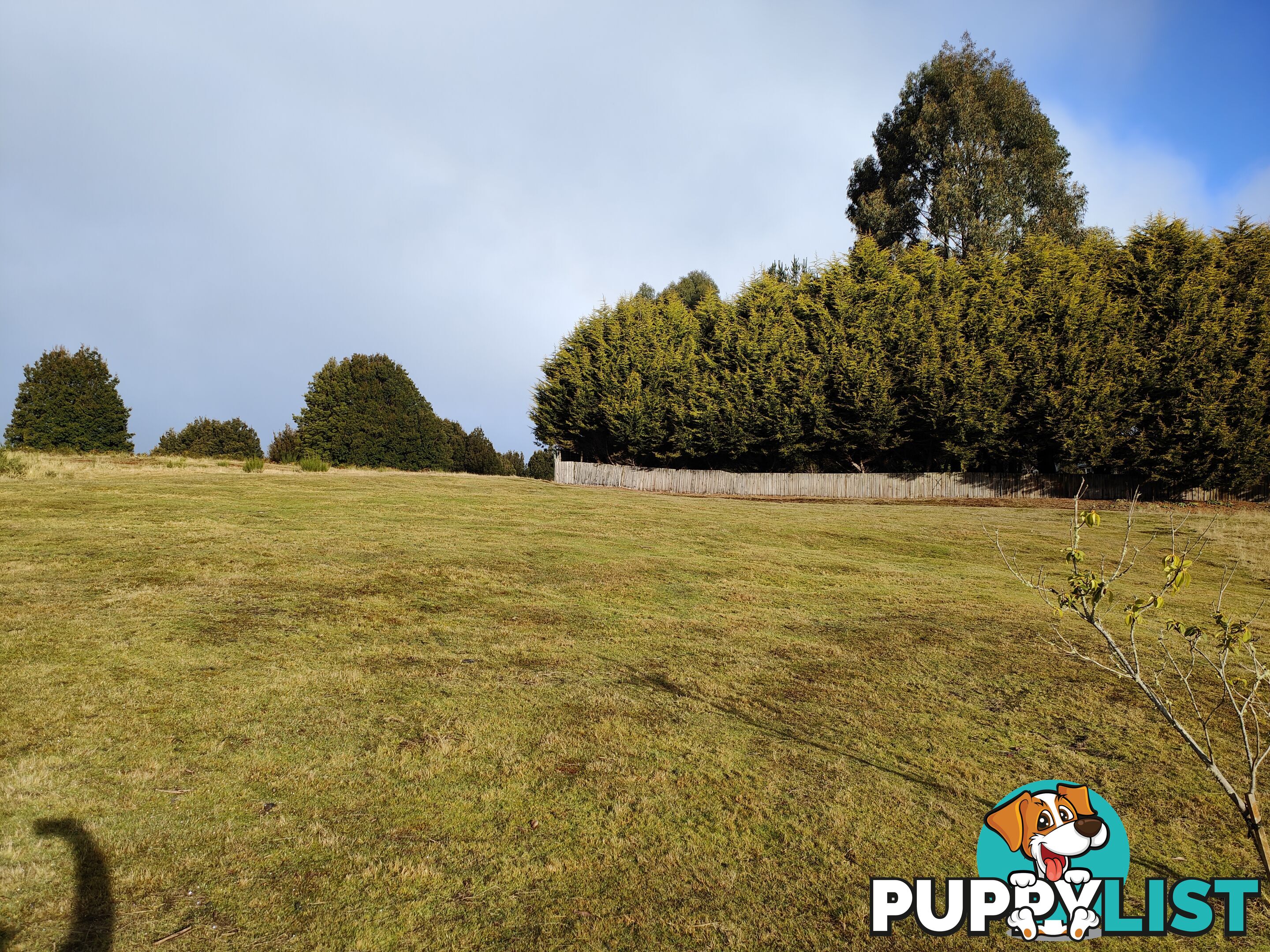15 Duncanson WARATAH TAS 7321