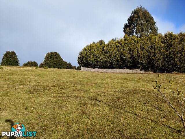 15 Duncanson WARATAH TAS 7321