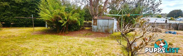 12 Camp Road WARATAH TAS 7321