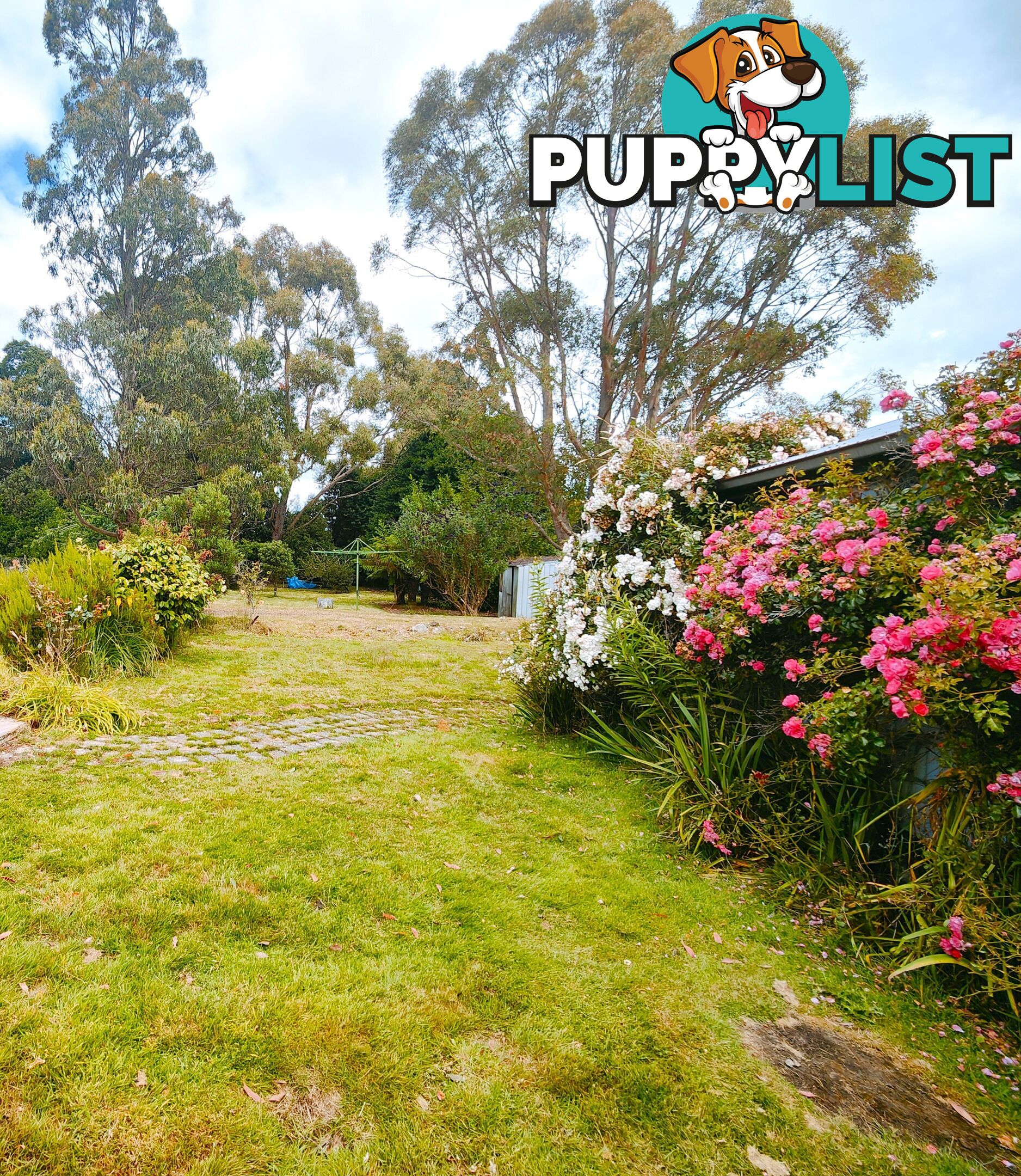 12 Camp Road WARATAH TAS 7321