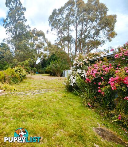 12 Camp Road WARATAH TAS 7321