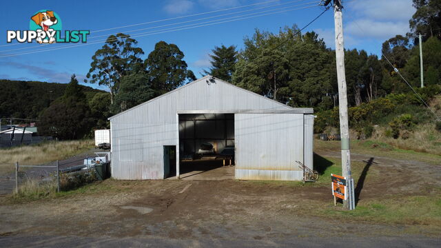 7 Frederick Street ZEEHAN TAS 7469