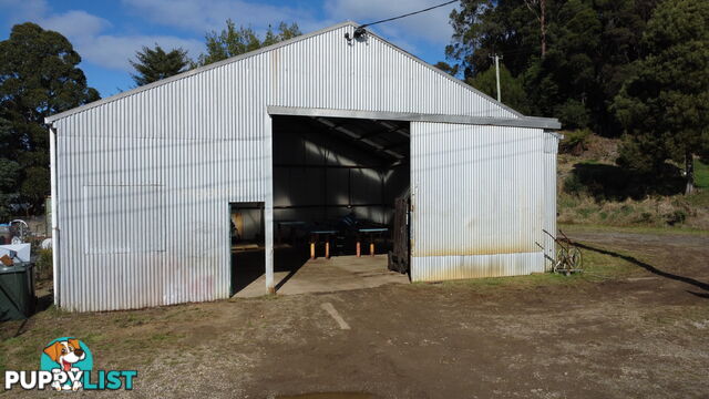 7 Frederick Street ZEEHAN TAS 7469