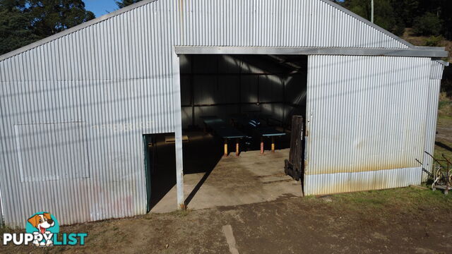 7 Frederick Street ZEEHAN TAS 7469