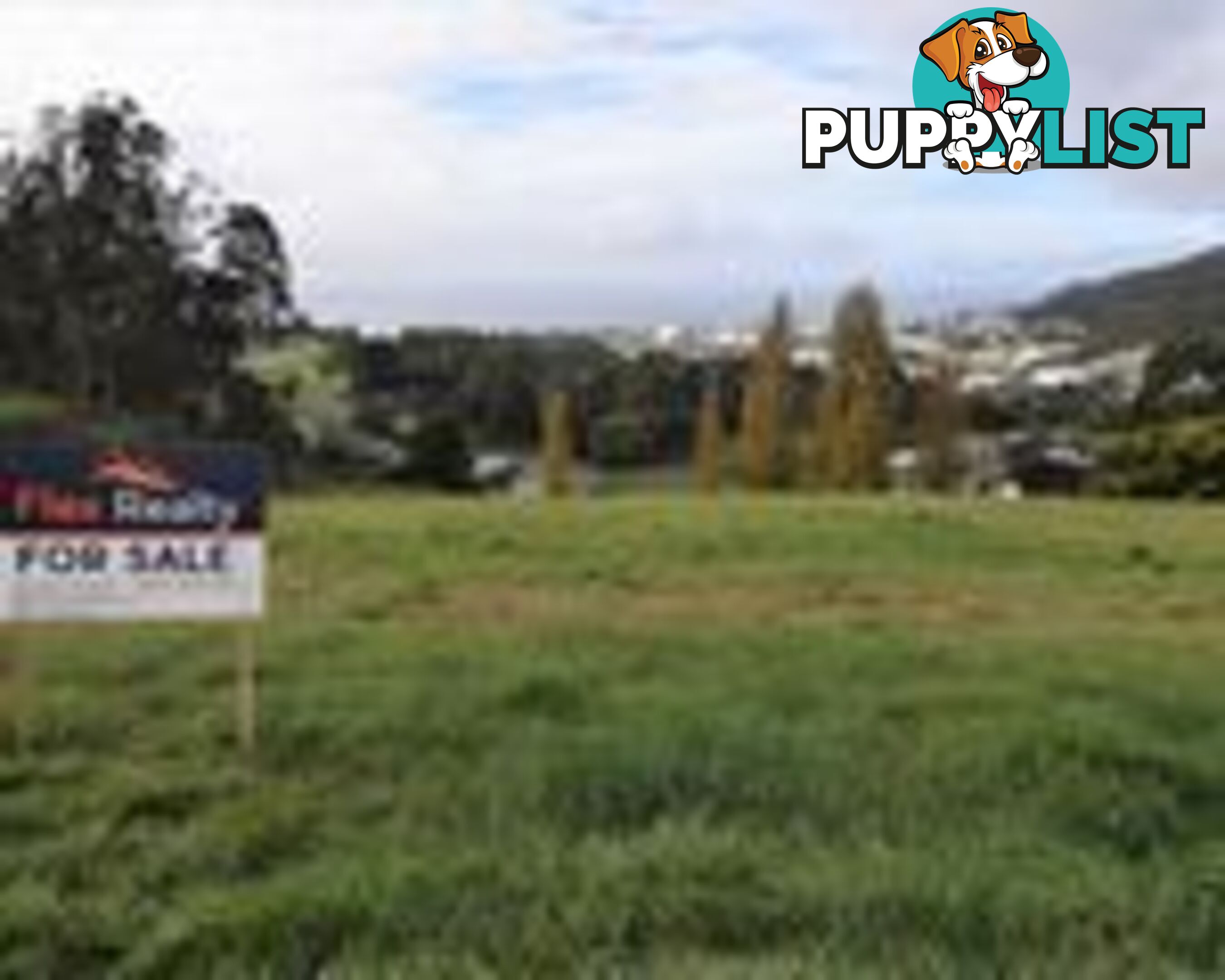 24 Grant Street North HAVENVIEW TAS 7320