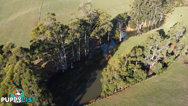 485 Central Castra Road CASTRA TAS 7315