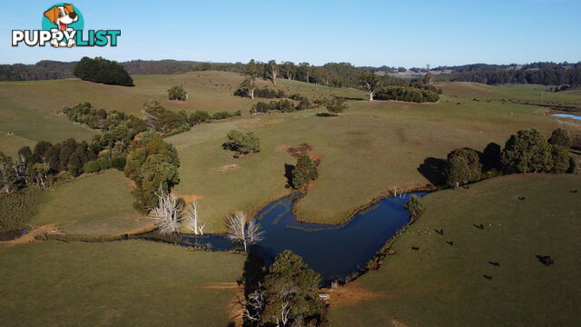 485 Central Castra Road CASTRA TAS 7315