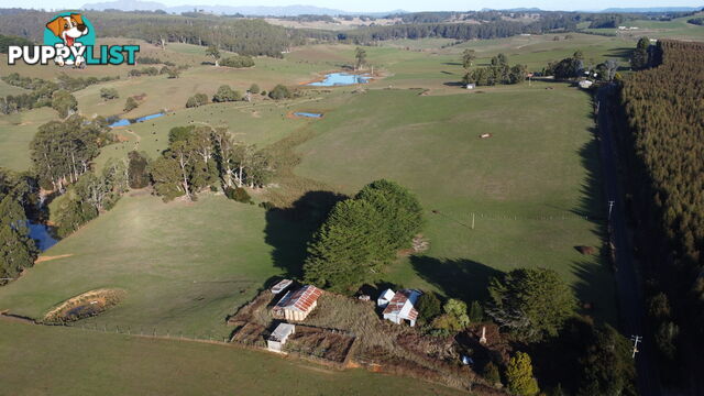 485 Central Castra Road CASTRA TAS 7315