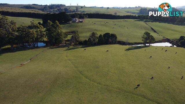 485 Central Castra Road CASTRA TAS 7315