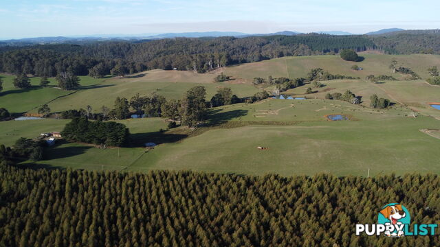 485 Central Castra Road CASTRA TAS 7315