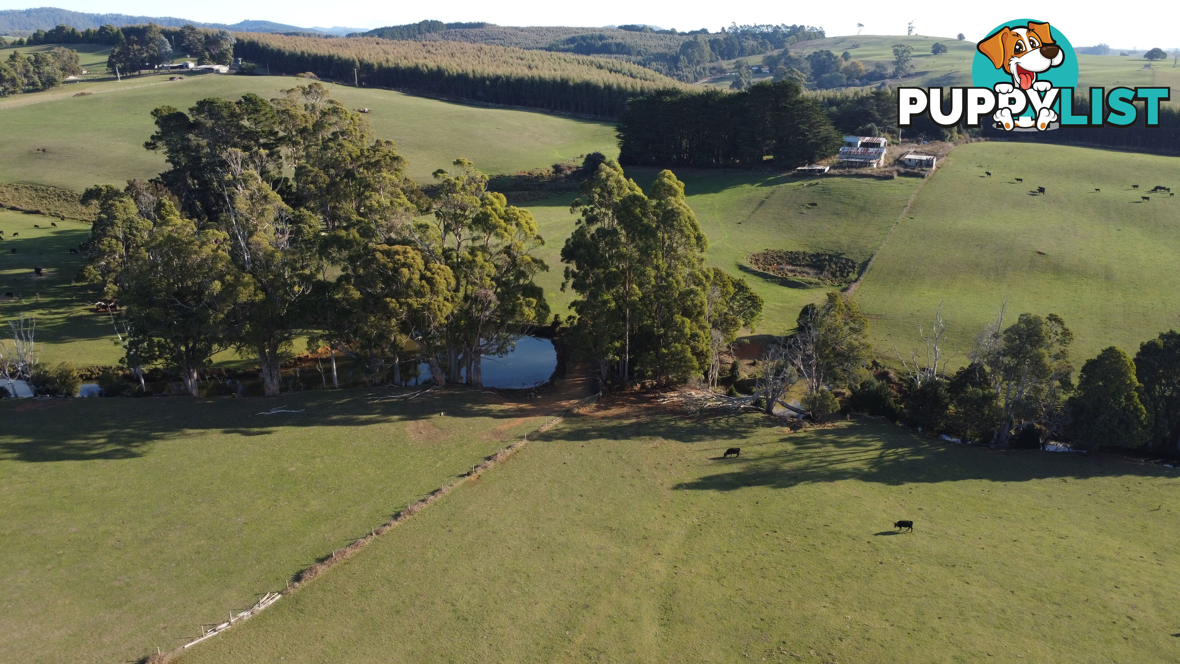 485 Central Castra Road CASTRA TAS 7315
