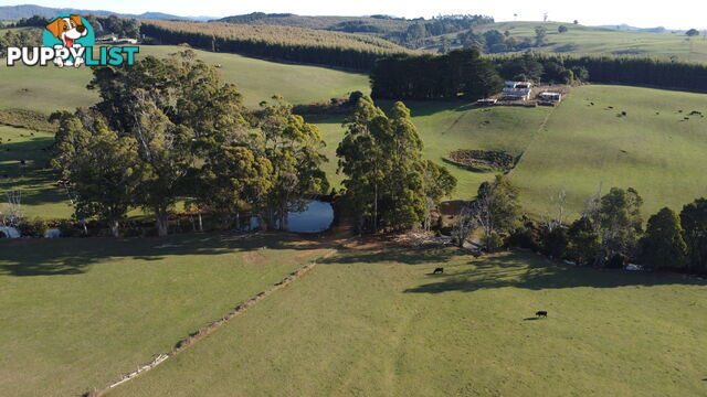 485 Central Castra Road CASTRA TAS 7315