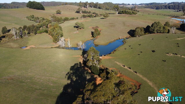 485 Central Castra Road CASTRA TAS 7315