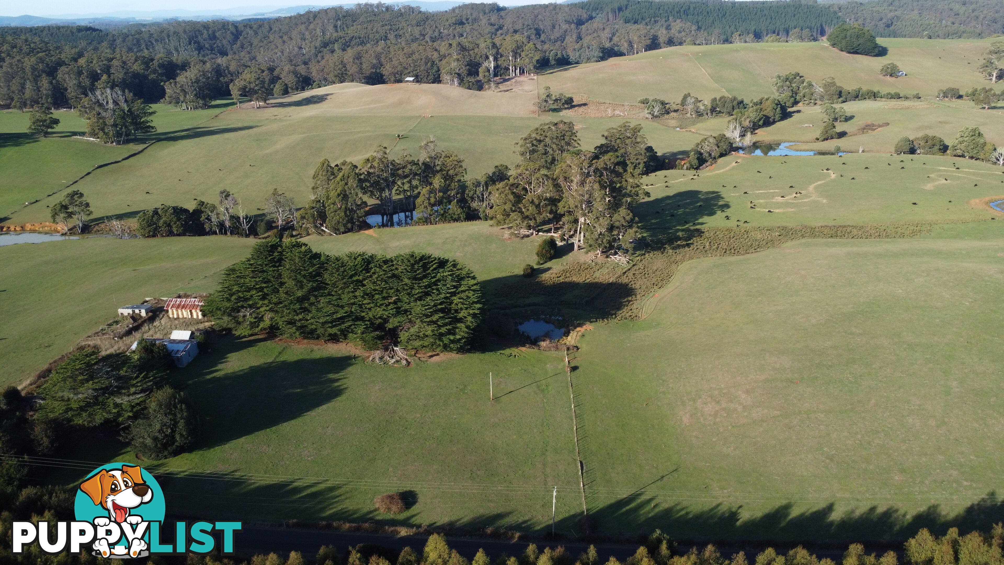 485 Central Castra Road CASTRA TAS 7315