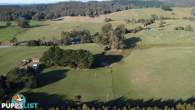 485 Central Castra Road CASTRA TAS 7315