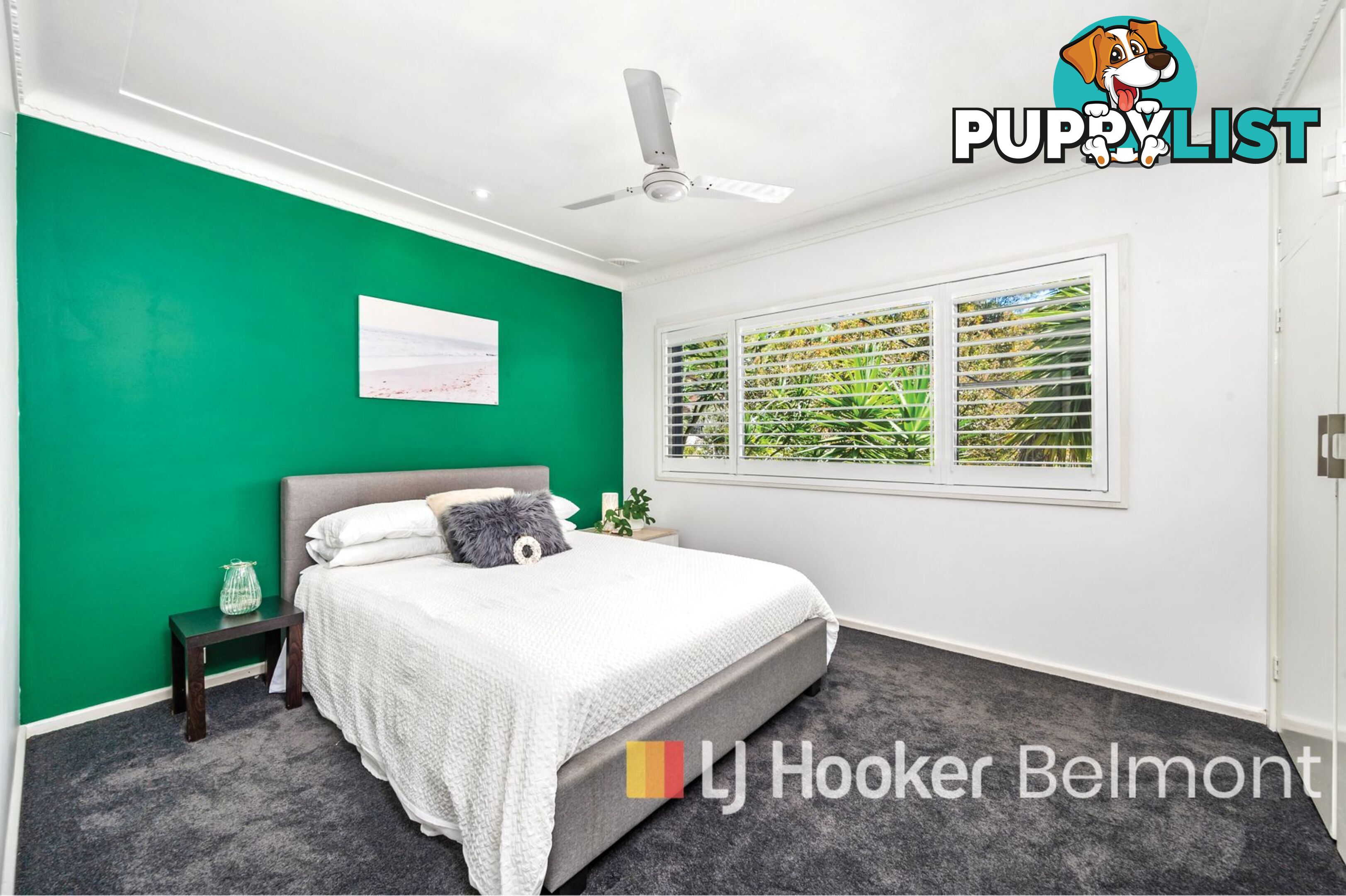 4 Peter Street VALENTINE NSW 2280