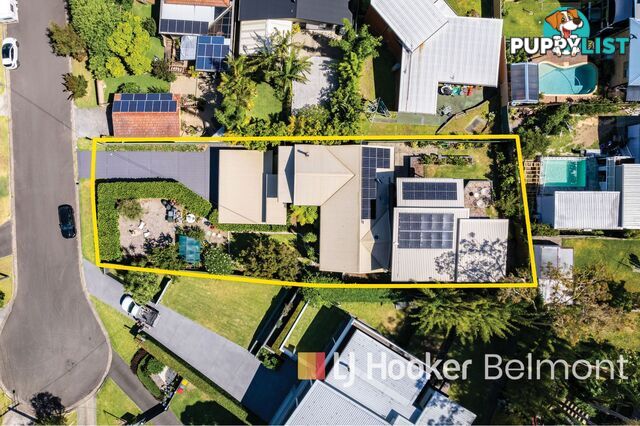 4 Peter Street VALENTINE NSW 2280