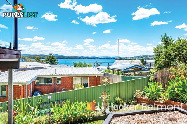 4 Peter Street VALENTINE NSW 2280