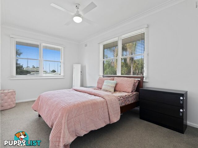 7 Hudson Street BELMONT SOUTH NSW 2280