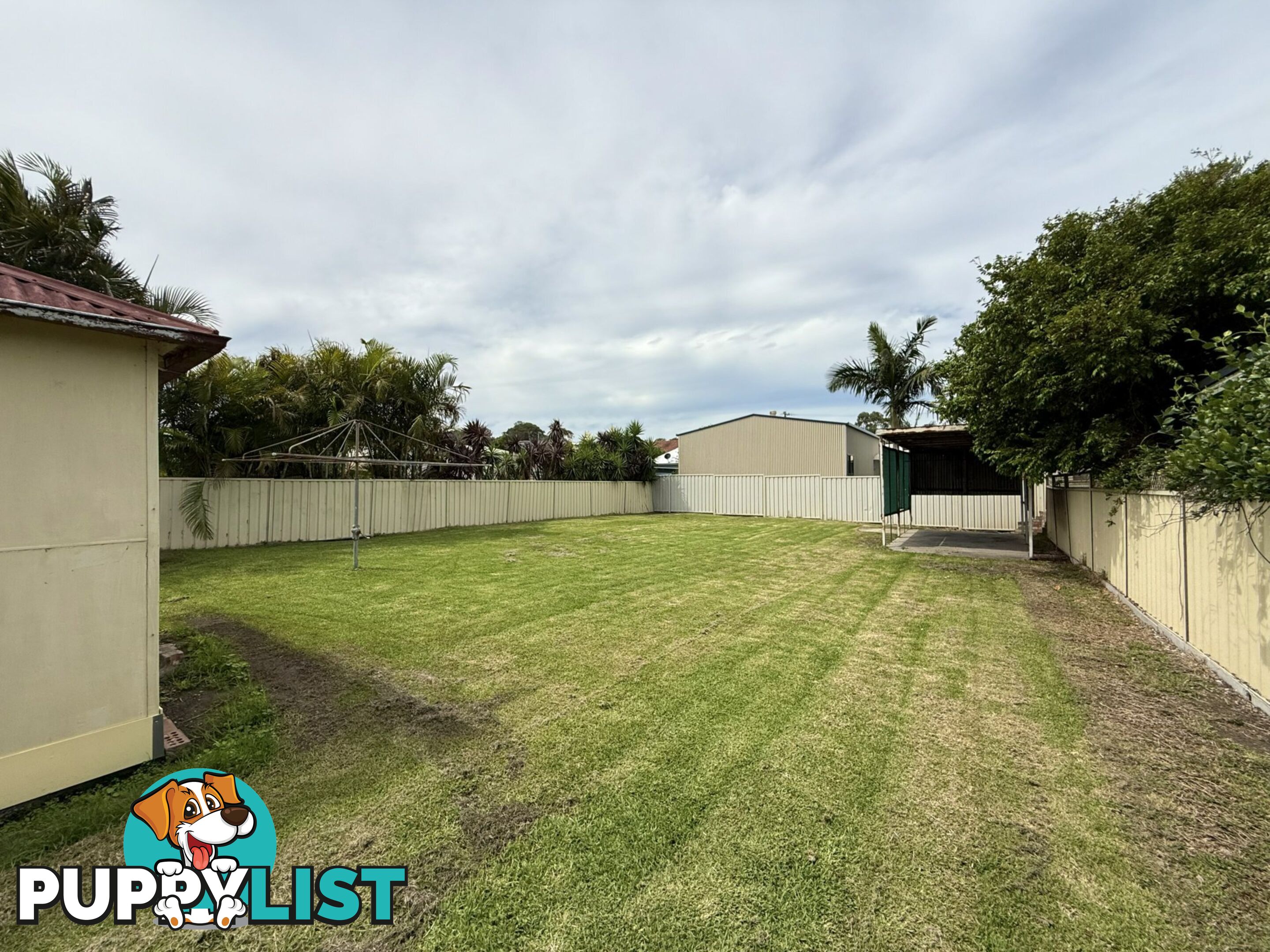 58 Tudor Street BELMONT NSW 2280