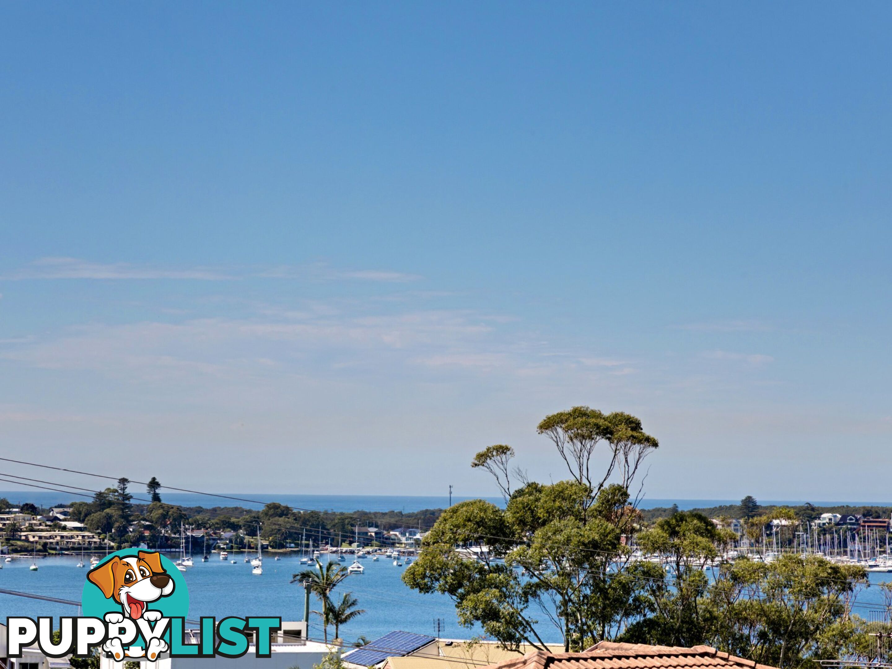 48 Crown Street BELMONT NSW 2280
