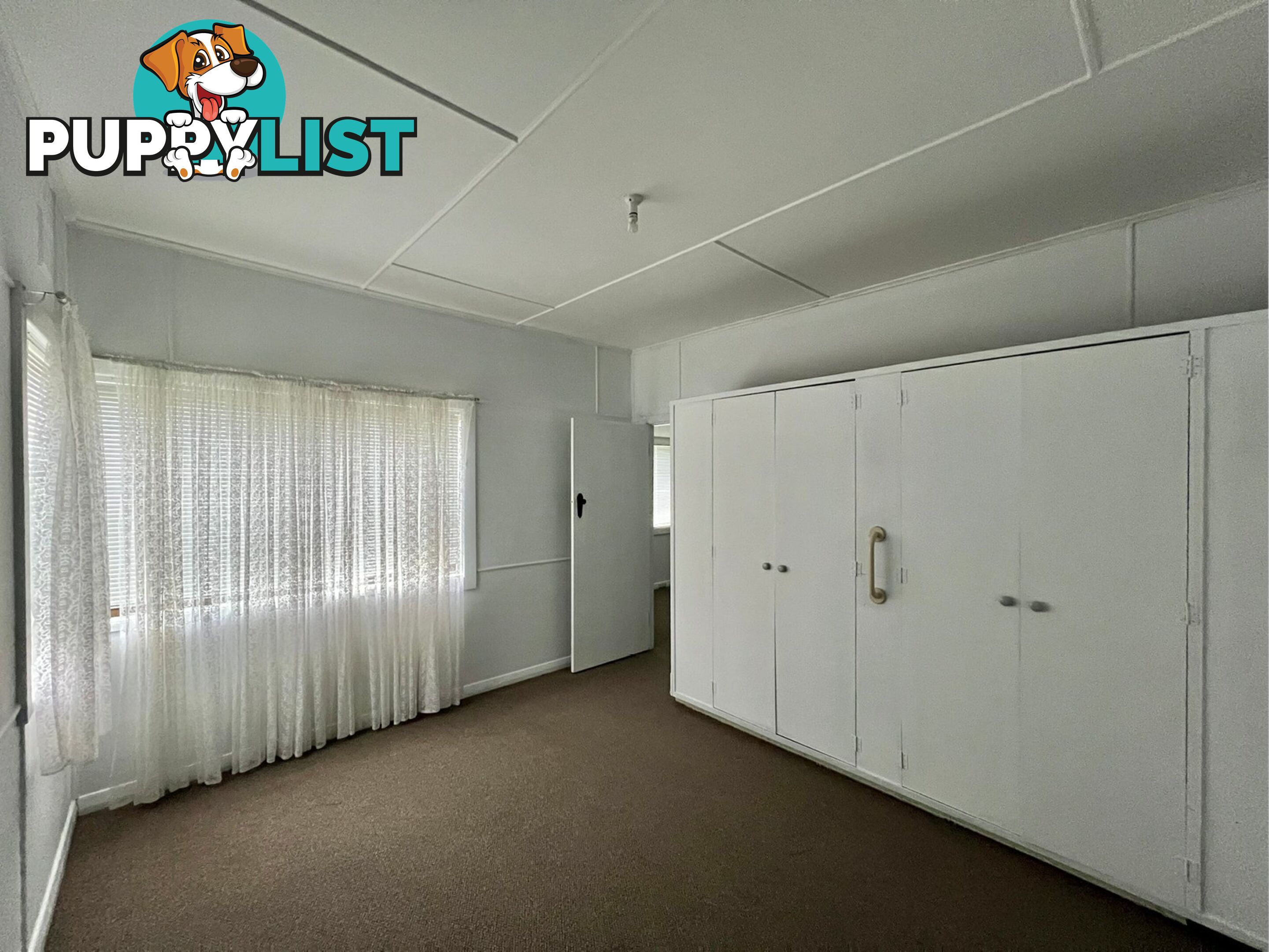 19 Jean Street BELMONT NSW 2280