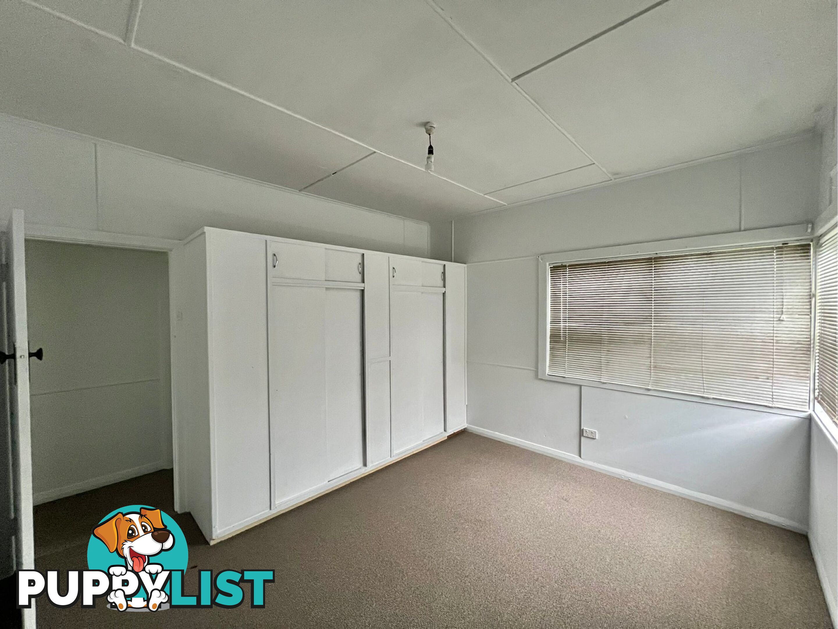 19 Jean Street BELMONT NSW 2280