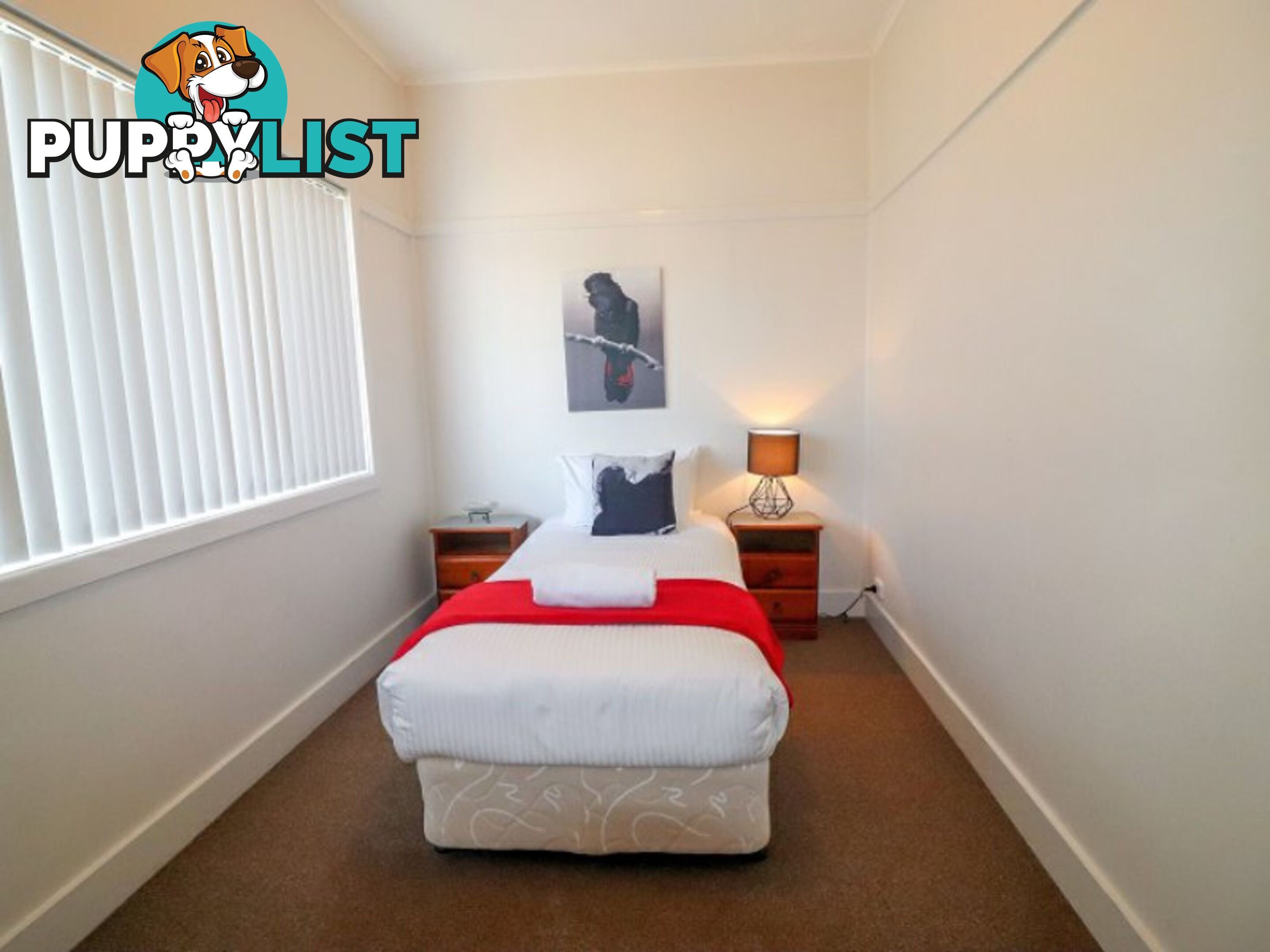 14A Gerald Street BELMONT NSW 2280