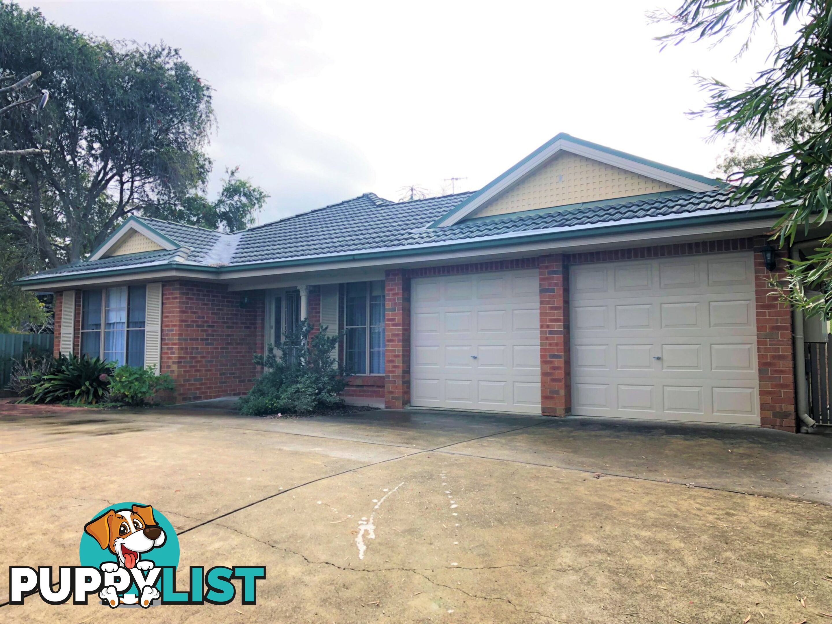 49A  Street BELMONT NORTH NSW 2280