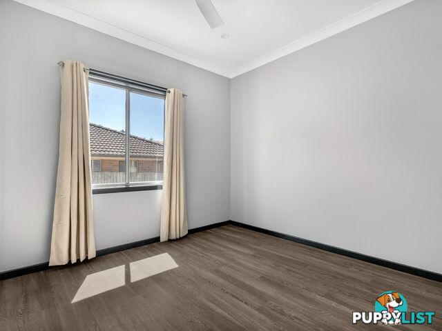 295 Pacific Highway BELMONT NSW 2280