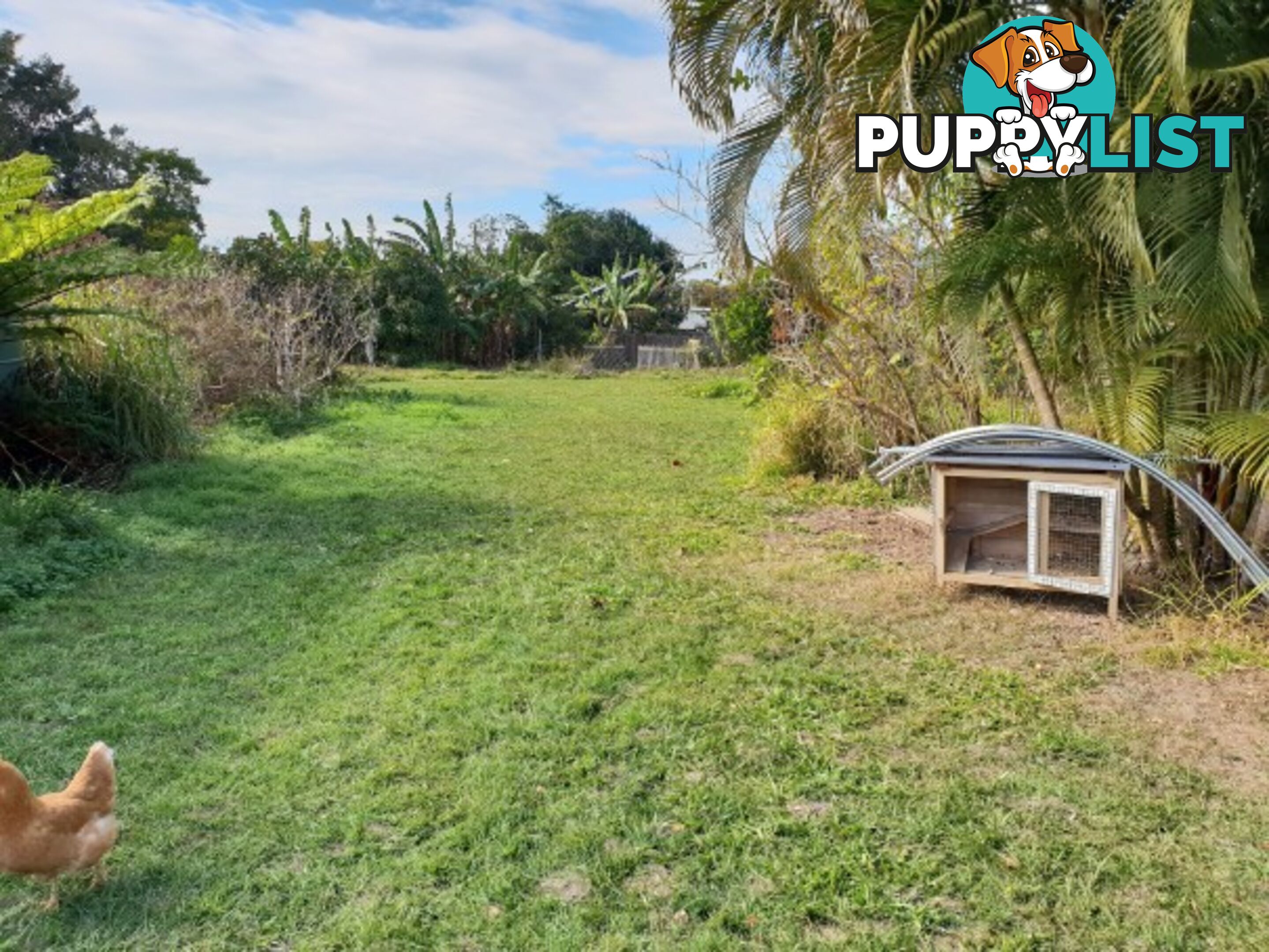 3 Station Road BURPENGARY QLD 4505