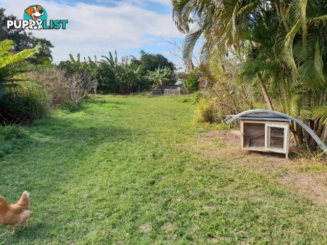 3 Station Road BURPENGARY QLD 4505