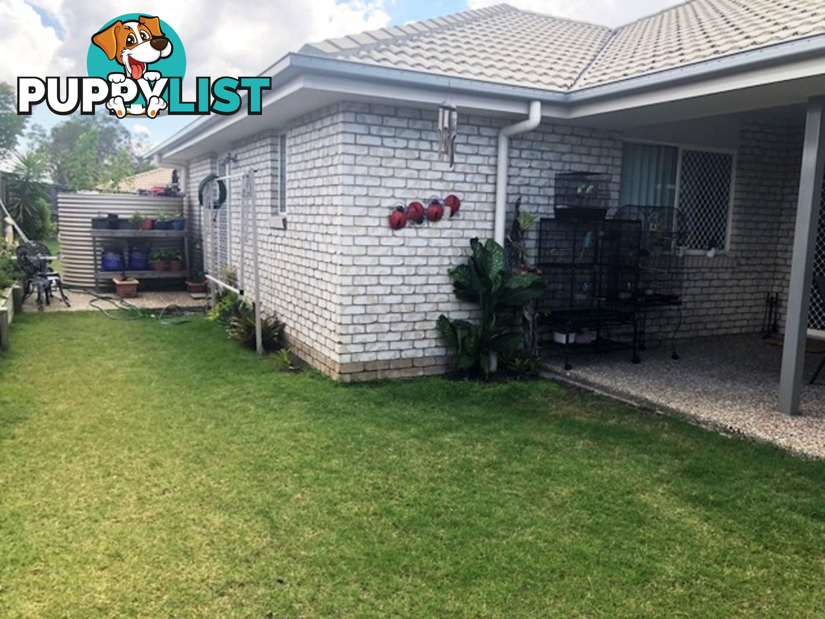 21 Jones Court CABOOLTURE QLD 4510