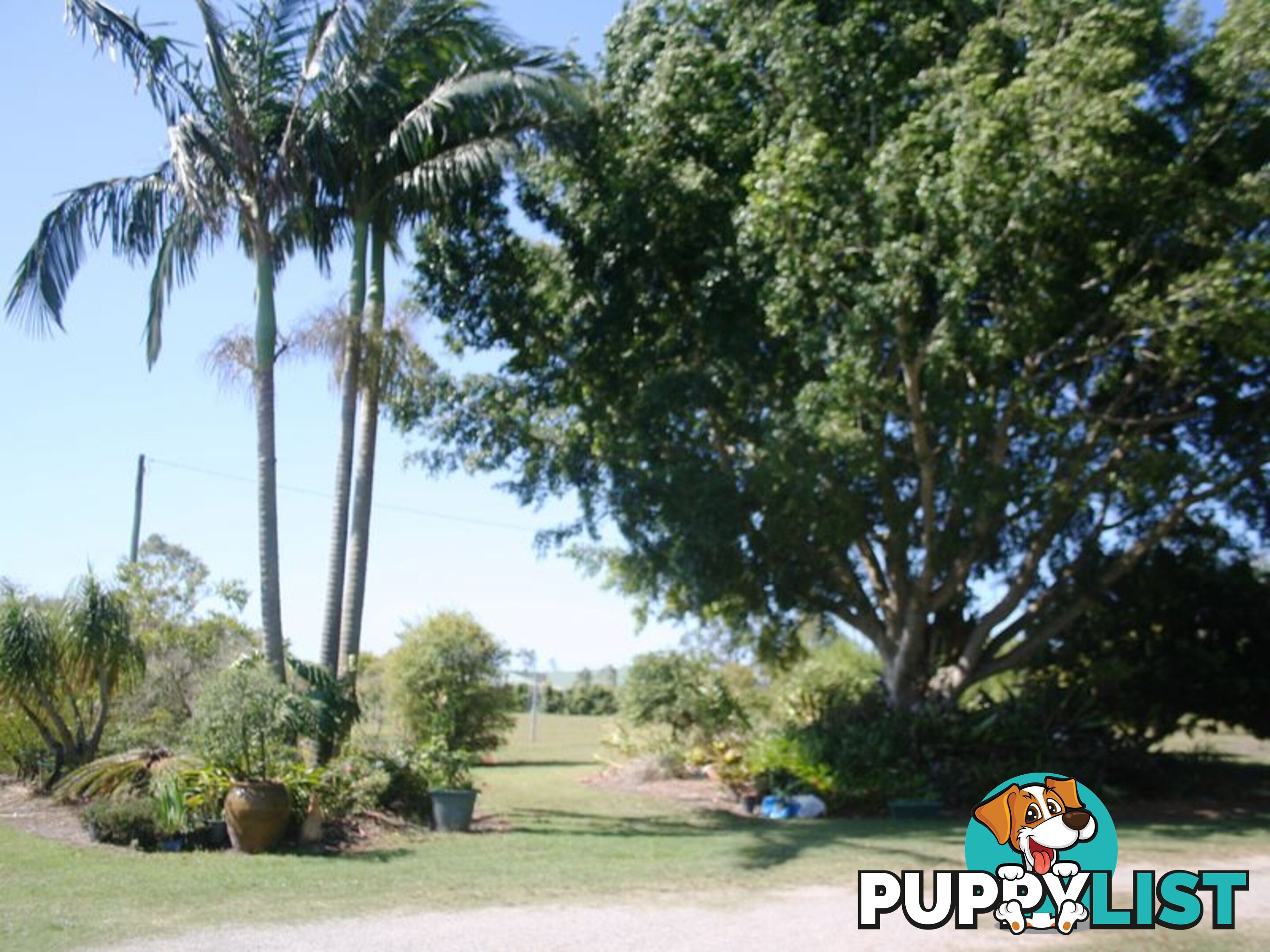 135-147 Burke Road DONNYBROOK QLD 4510