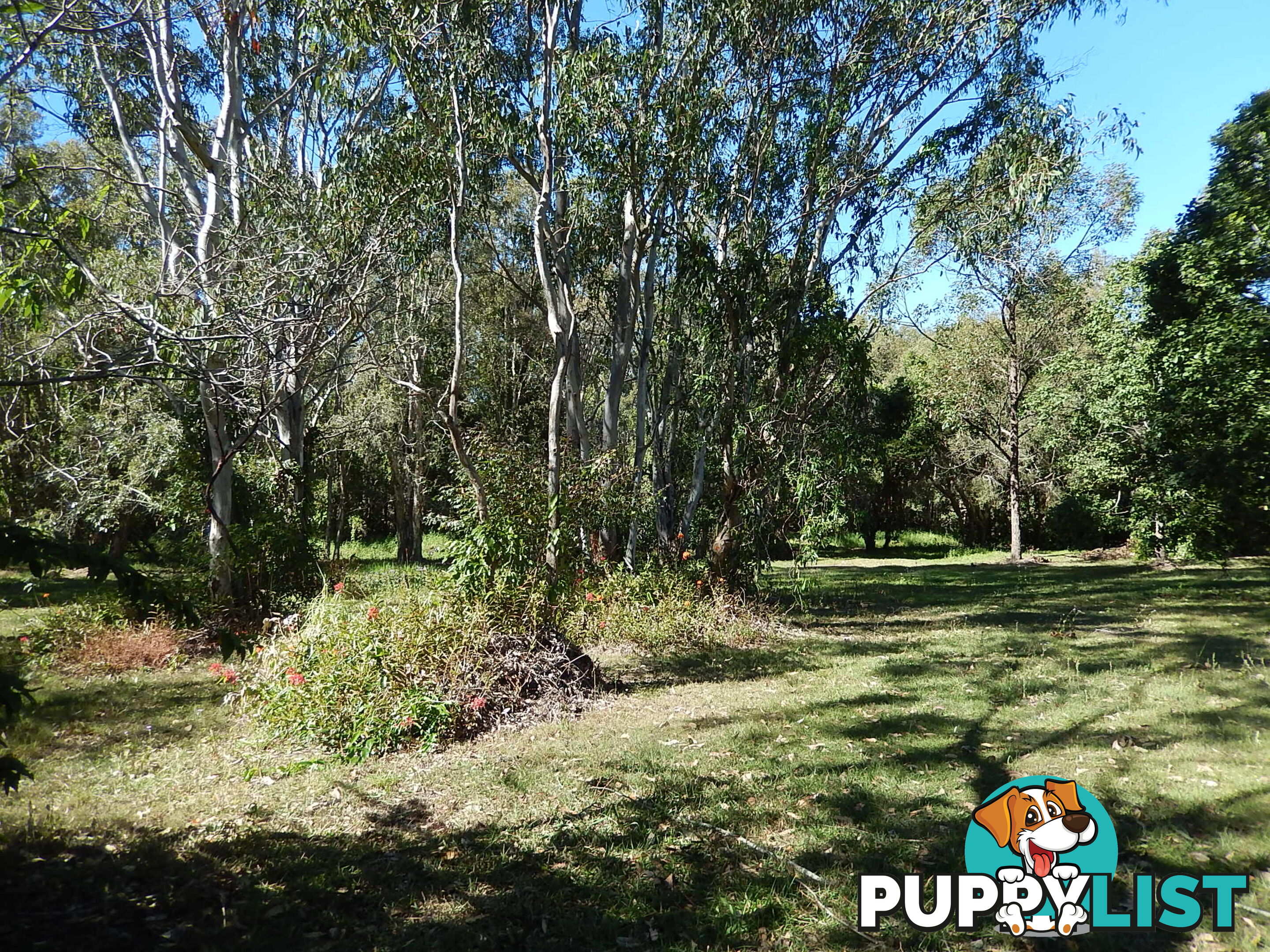 499 Old Bay Road BURPENGARY QLD 4505