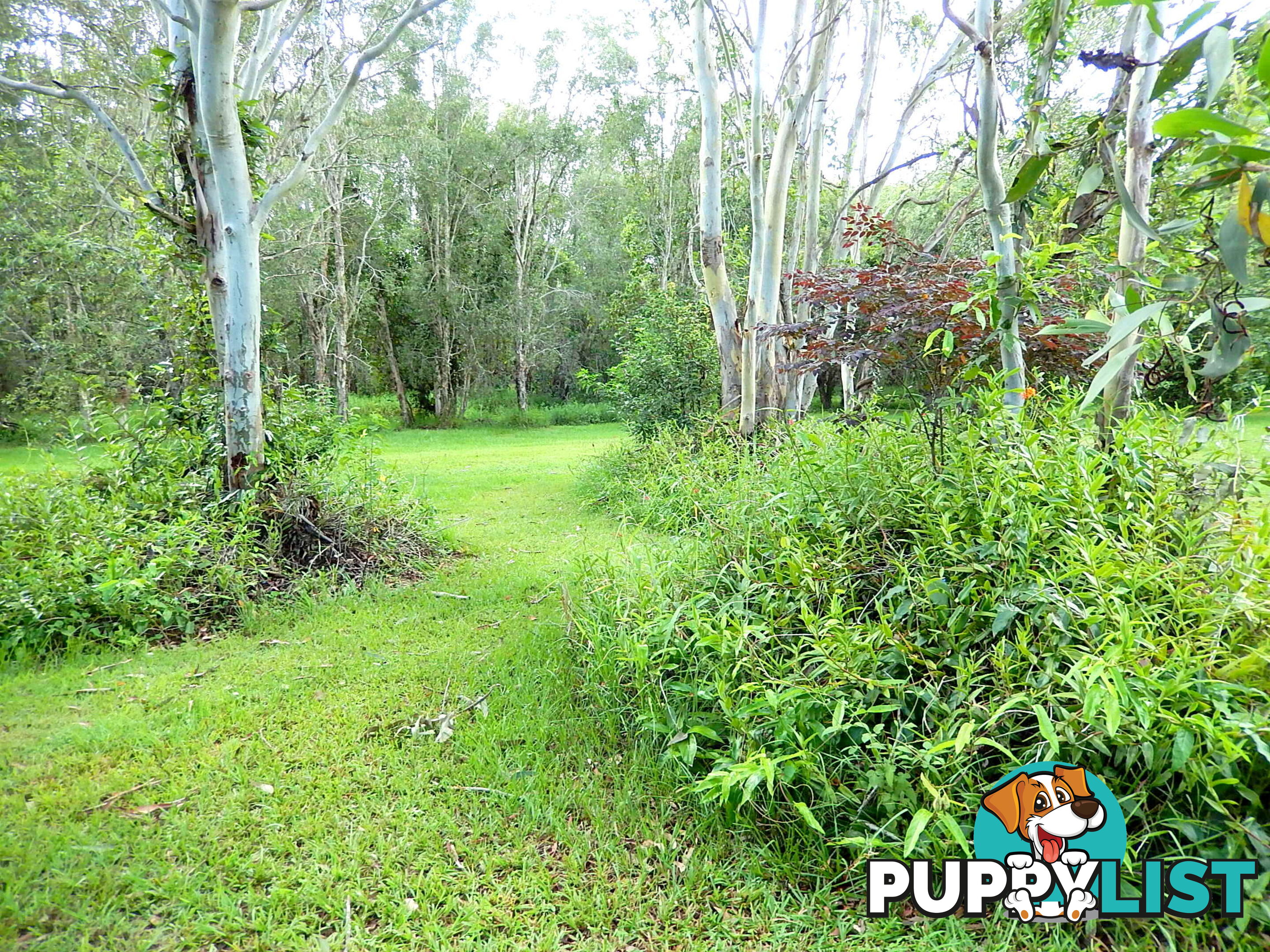 499 Old Bay Road BURPENGARY QLD 4505