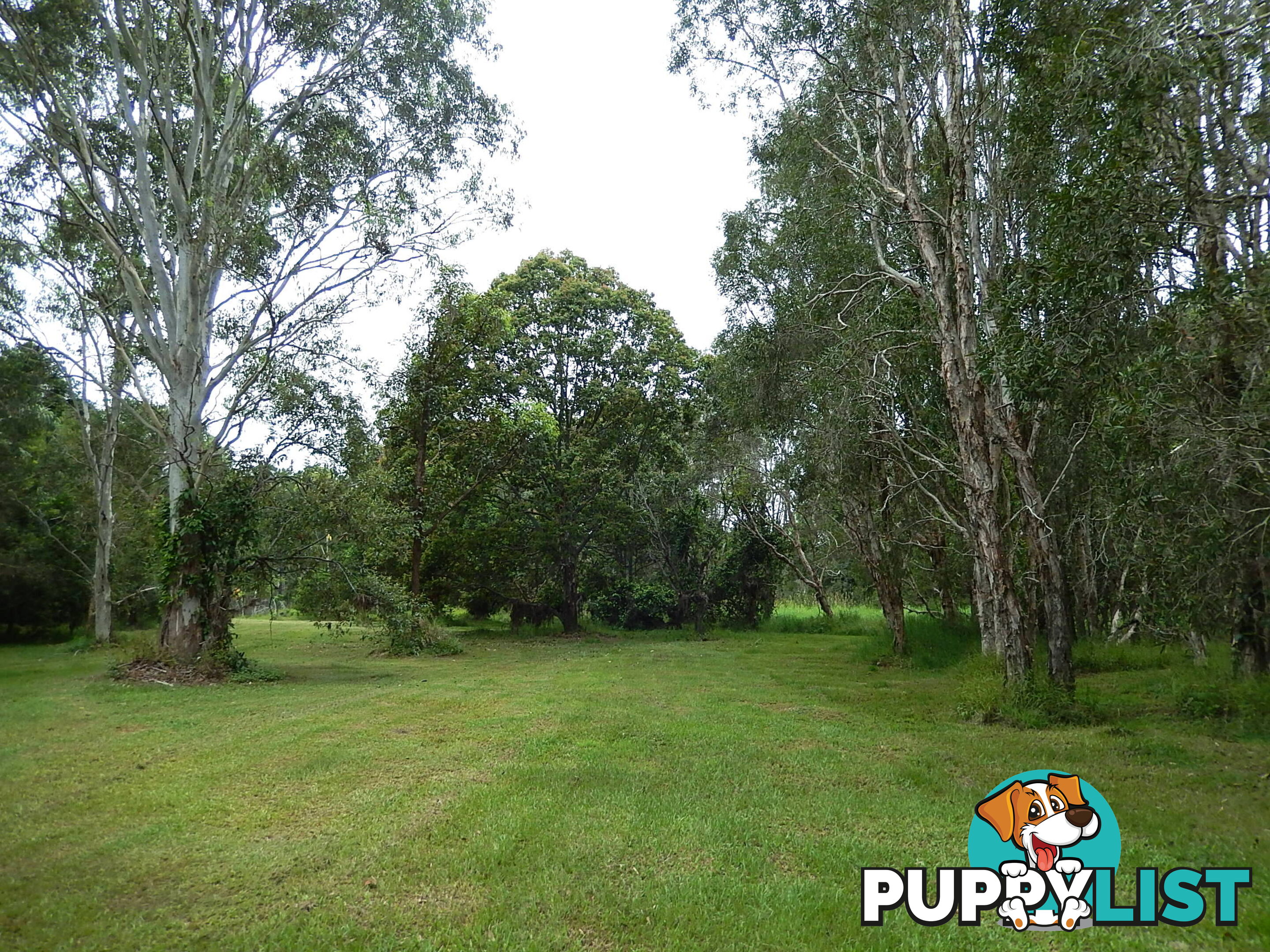 499 Old Bay Road BURPENGARY QLD 4505