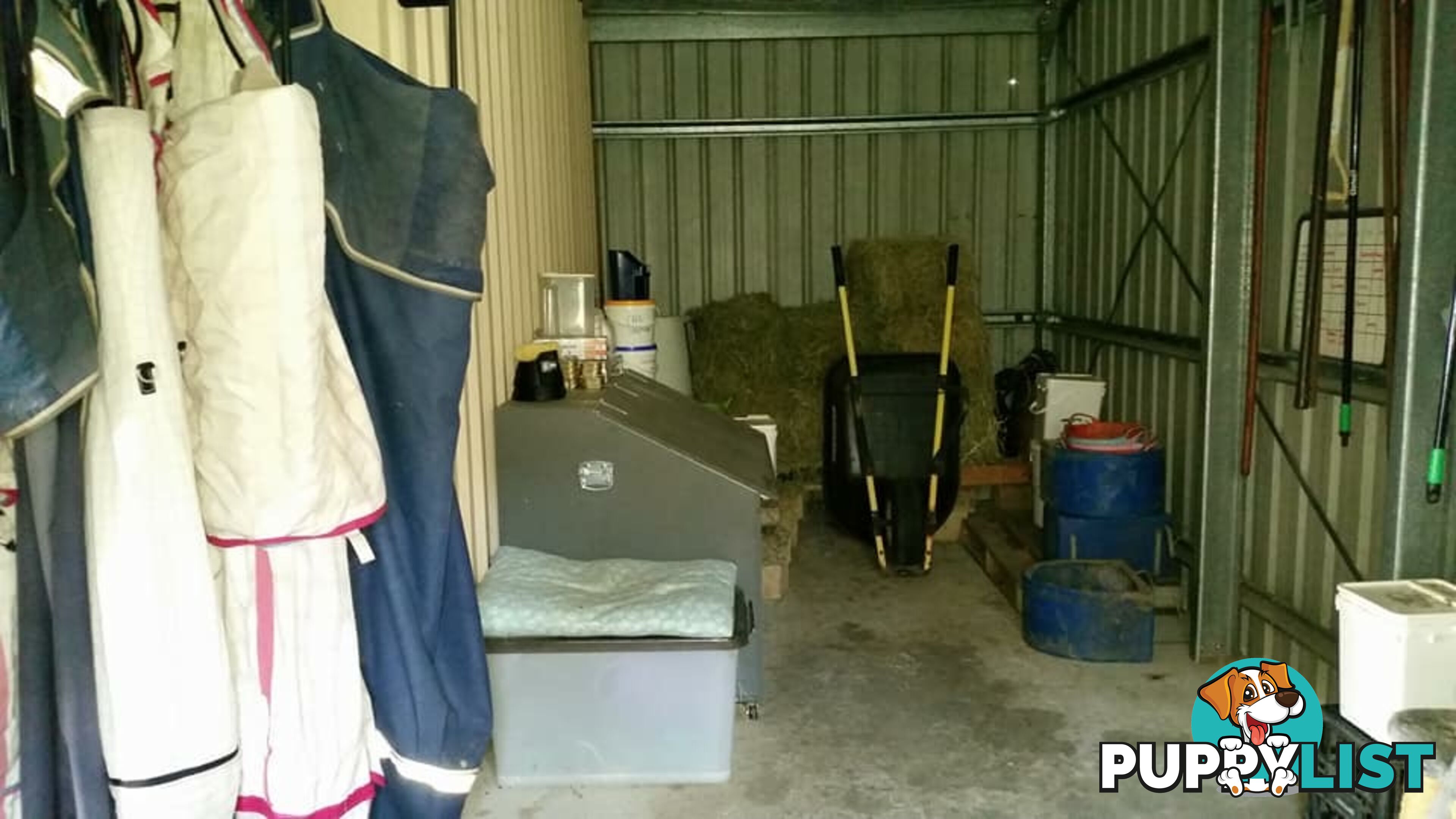 1 Vinery Place KING SCRUB QLD 4521