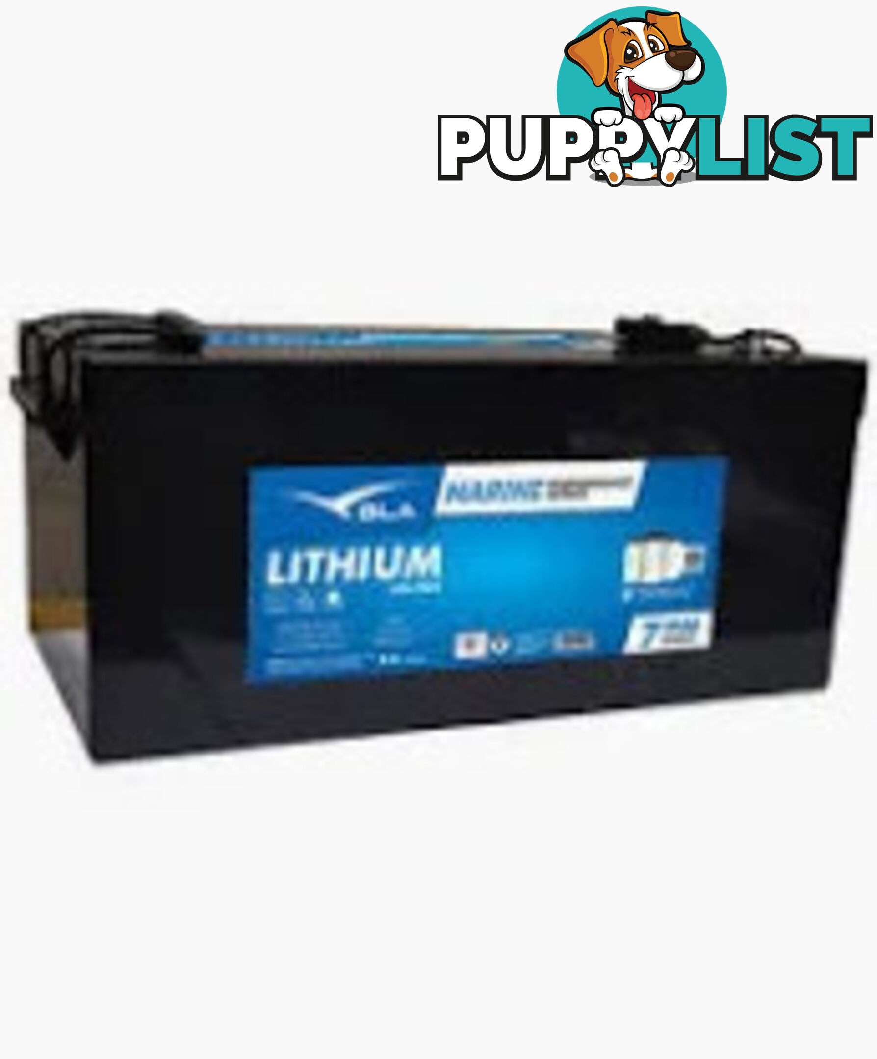 100 AMP Blue tooth 36 volt BLA Lithium battery   7 year warranty & charger