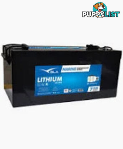 100 AMP Blue tooth 36 volt BLA Lithium battery   7 year warranty & charger