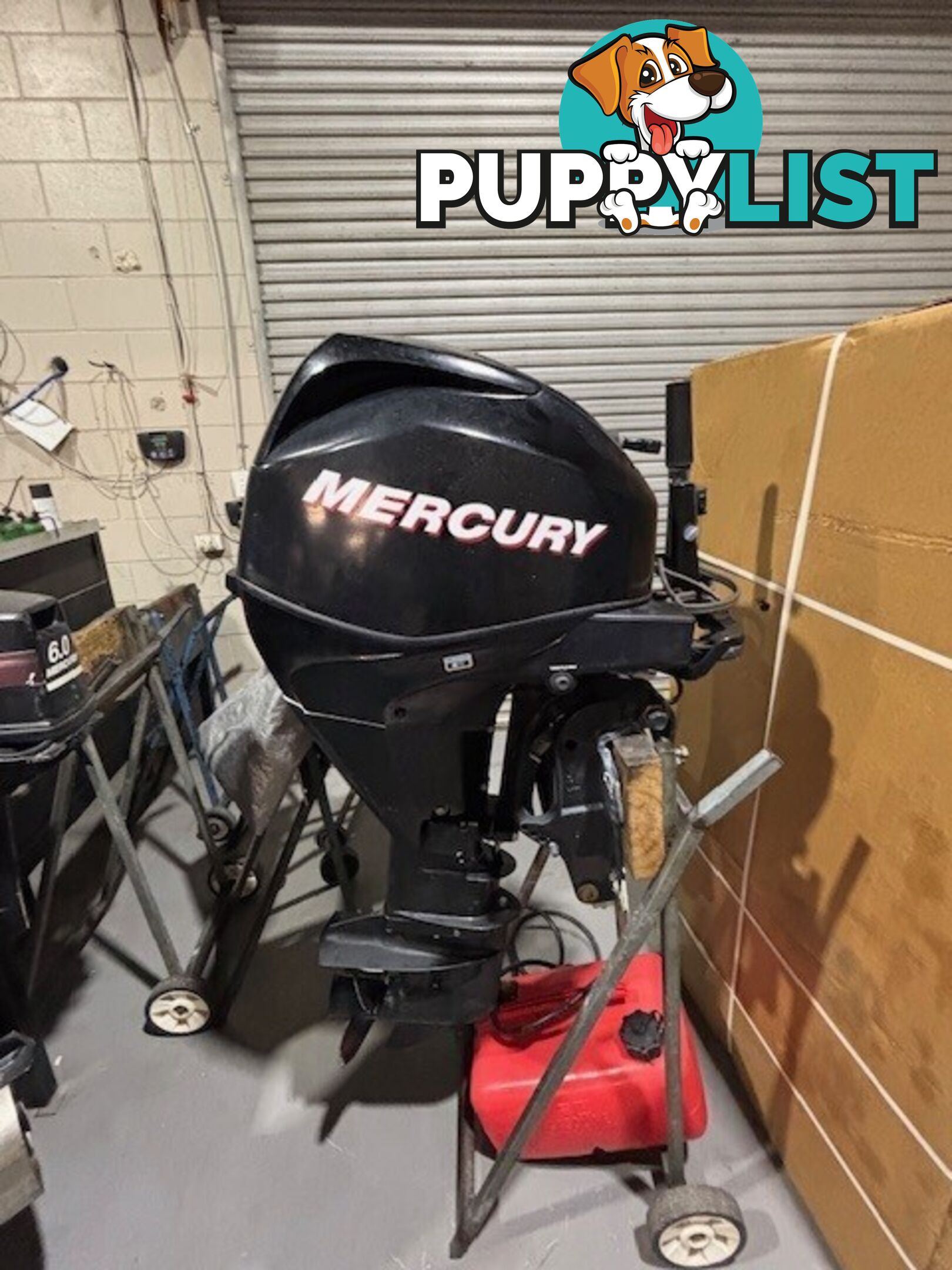 Mercury 30 HP efi 4 stroke tiller/power trim long shaft