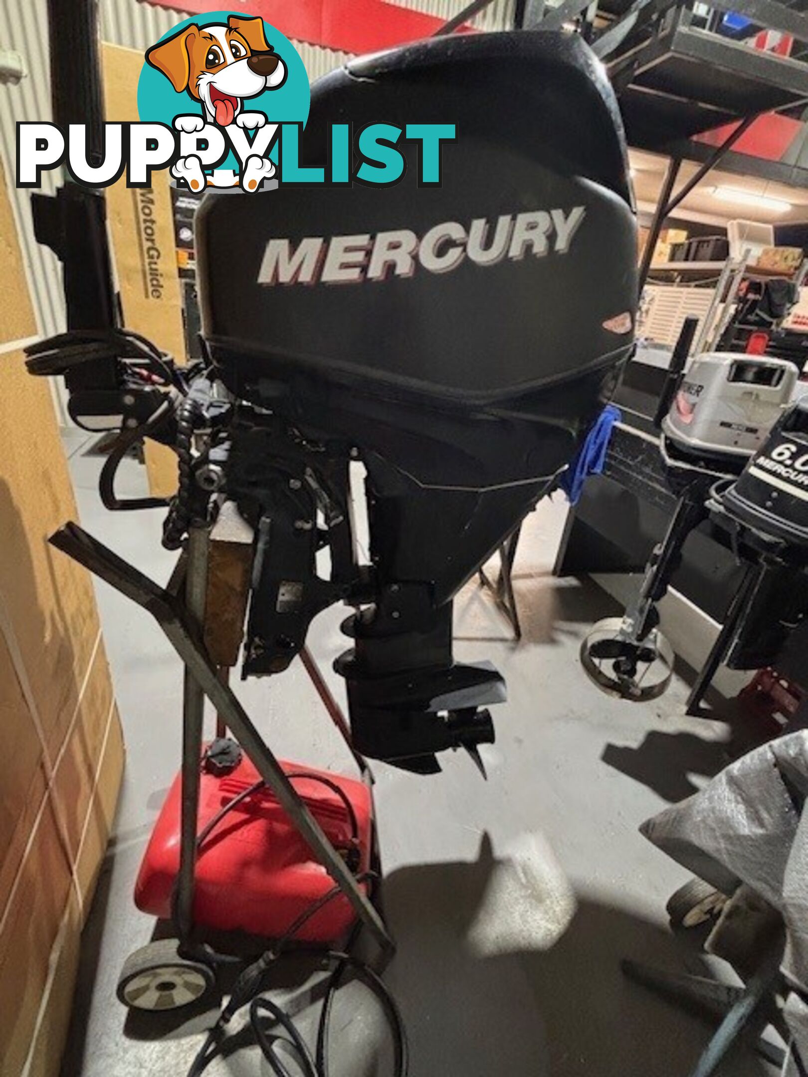 Mercury 30 HP efi 4 stroke tiller/power trim long shaft