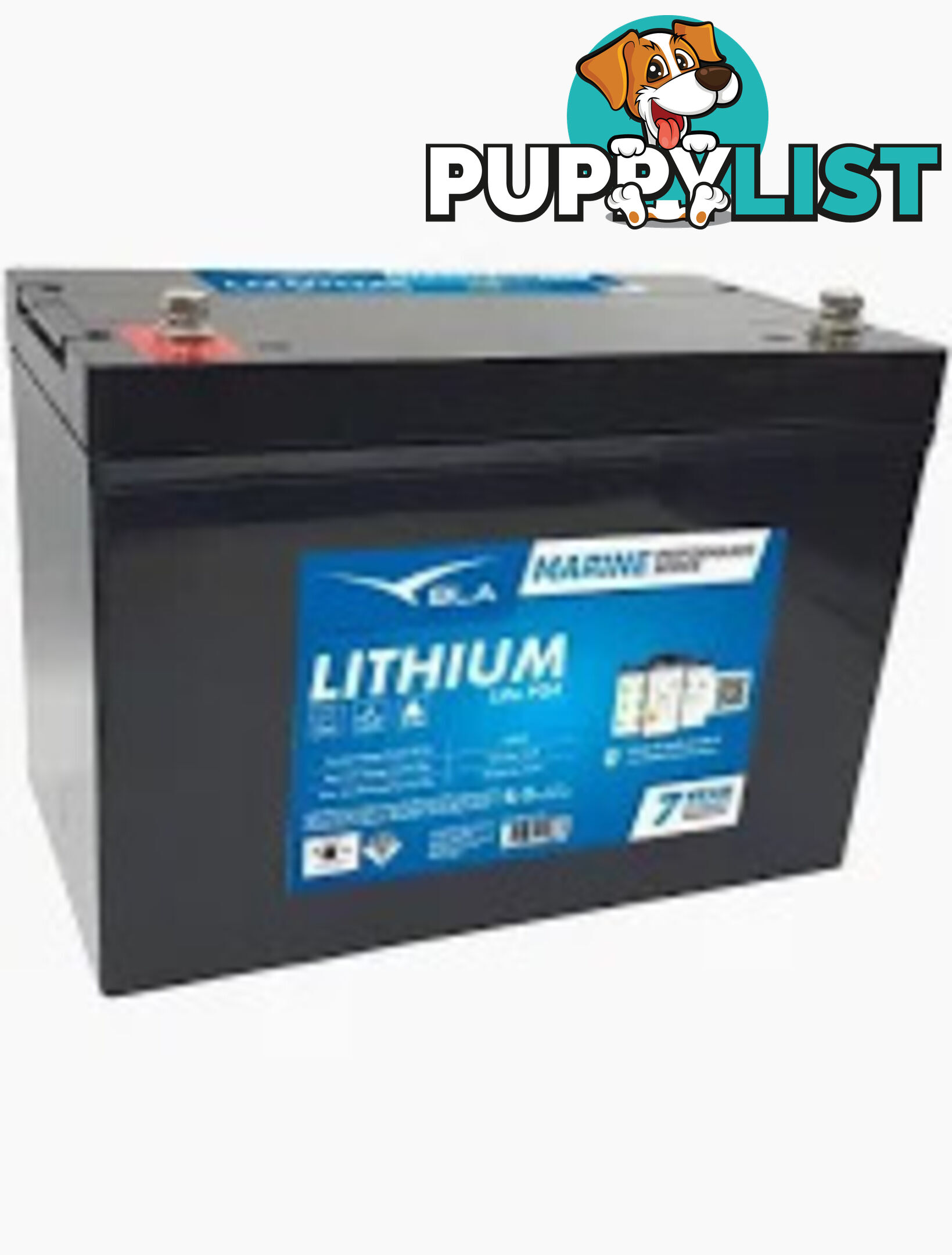 Lithium Battery 12 Volt 100 Amp with Blue tooth BLA - 7 year warranty