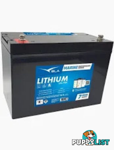 Lithium Battery 12 Volt 100 Amp with Blue tooth BLA - 7 year warranty