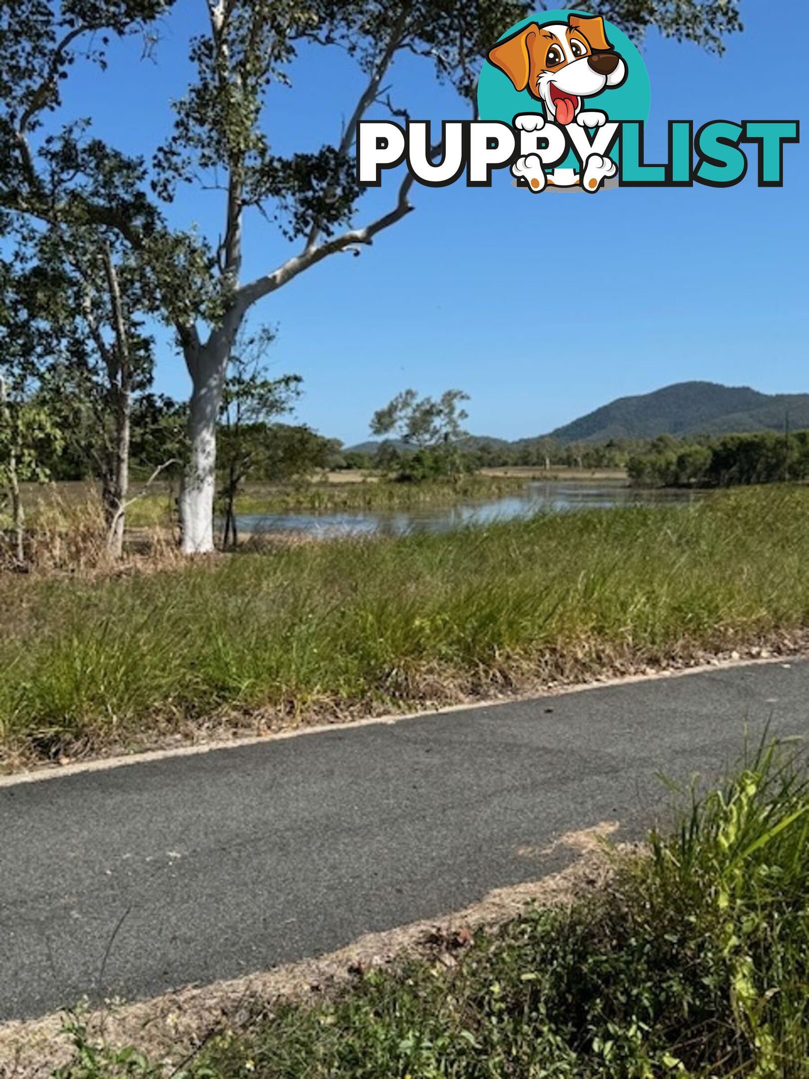 Lot 19 Turtle Point Lakeside, Laguna Quays LAGUNA QUAYS QLD 4800