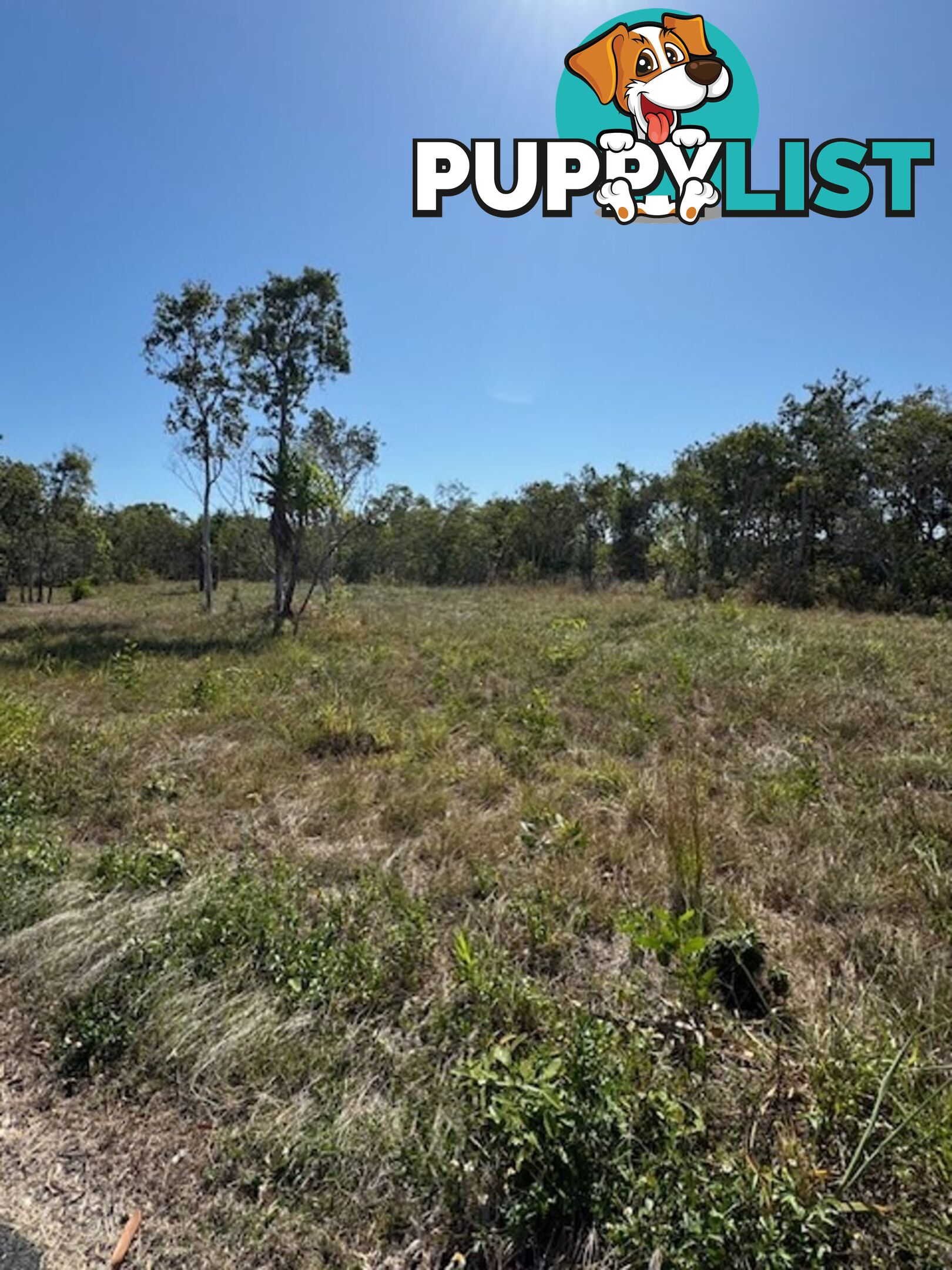 Lot 19 Turtle Point Lakeside, Laguna Quays LAGUNA QUAYS QLD 4800